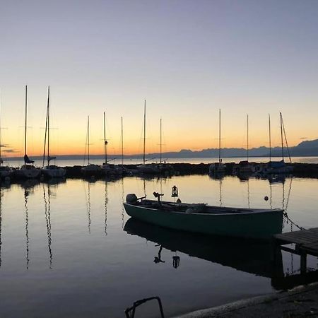 Villa Moderne, A 2 Pas Du Lac Leman Sciez Eksteriør billede